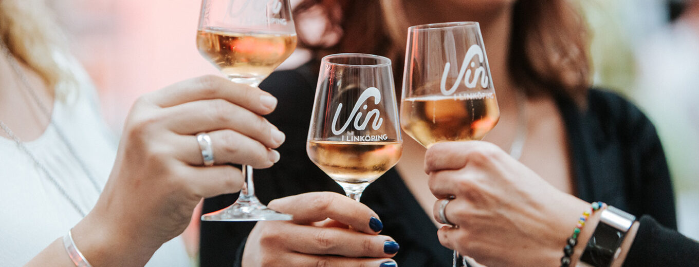 Besökare på Vin i Linköping
